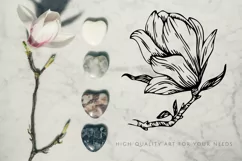 Magnolia flowers line art SVG, PNG. Hand drawn doodle flower Product Image 4