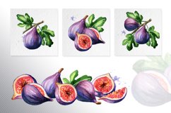 Fig fruit. Watercolor collection Product Image 4