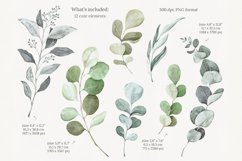 Watercolor eucalyptus clipart Product Image 2