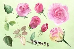 Watercolor Roses Clip Art Product Image 2