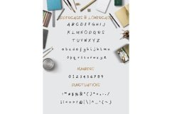 Web Font Chickscar Typeface Product Image 5