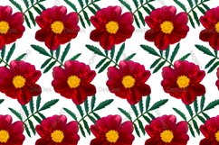 12 Seamless colorful FLOWER patterns bundle. Digital Paper Product Image 12