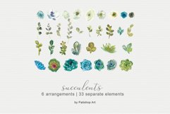 Watercolor Succulents &amp; Florals Clip Art Collection Product Image 6