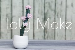 Succulents Product Image 1