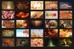 200 AUTUMN DIGITAL PHOTOSHOP OVERLAYS, BACKDROPS BACKGROUNDS Product Image 3