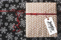 40 Christmas Photo Overlays  FREE symbols font Product Image 9