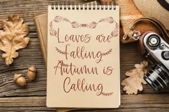 Walnut Moth - Match With Leaf Swashes - Free Font Of The Week Product Image 7