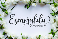 The Calligraphy Font Bundle Vol ll Product Image 5