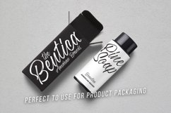 Web Font Felt Tip Product Image 6