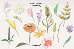 18 Spring Floral Blooms Clipart Watercolor Elements Pastels Product Image 3