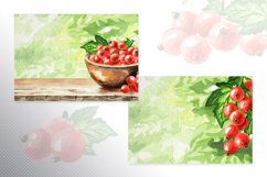 Red currant. Watercolor collection Product Image 7