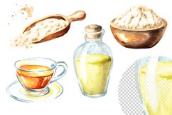 Ginseng. Watercolor collection Product Image 3