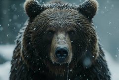 Close-up of a brown bear&#039;s face during a gentle snowfall, ca Product Image 1