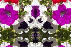 12 abstract Seamless colorful FLOWER patterns pack. Product Image 3