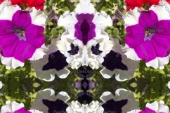 12 abstract Seamless colorful FLOWER patterns pack. Product Image 3