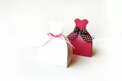 Wedding Dress Quinceañera Ballgown Box SVG PDF Design Product Image 1