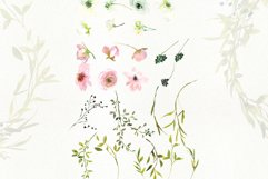 Watercolor Blush and WhiteRose Clipart and Wreaths Product Image 10