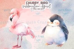Chubby Bird Watercolor Sublimation Clipart Product Image 5