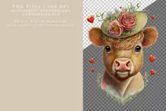 Highland cow clipart, Valentine clipart, Birthday clipart Product Image 2