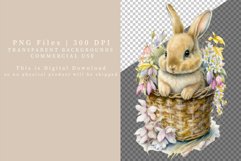 Baby bunny clipart, Easter clipart, Spring sublimation Product Image 2