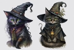 Witch cat clipart, Halloween clipart, Goth sublimation Product Image 4