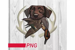 duck hunting png hunting dogs png Product Image 1