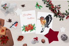 Watercolor clipart Winter birds Product Image 5