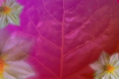 abstract floral sublimation &amp; printing Product Image 1