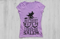 Not Every Witch Lives In Salem Svg, Halloween Svg, Witch Svg Product Image 2