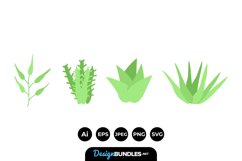 Succulent Illustrations Product Image 1