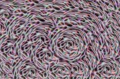 Abstract pink background of fractal colors. Product Image 1