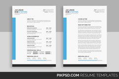  Professional Resume/CV  Product Image 1