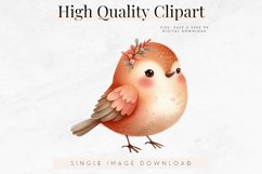 Cute Bird Clipart, Watercolor Animal Art Product Image 1