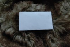 Mockup concept with modern feather background Product Image 1
