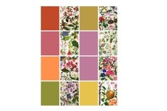Vintage Botanical Full Page Floral Sheets 8.5 x 11, PDF Product Image 5