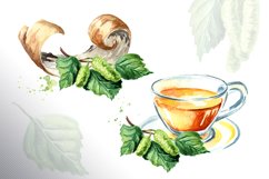 Birch. Watercolor collection Product Image 3