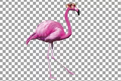 Watercolor Floral Pink Flamingo clip art, boho clipart Product Image 3