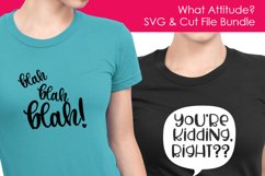 What Attitude? Bundle Product Image 3