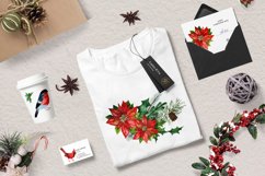 Watercolor clipart Winter birds Product Image 6