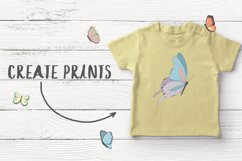 Butterflies  Product Image 3