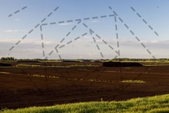 peat bog, summer Product Image 1