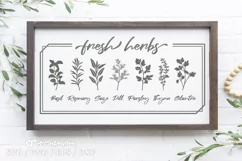 Fresh Herbs Svg, Herbs Svg, Kitchen Svg, Farmhouse Svg Product Image 2