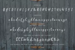 Farmhouse Country Rustic Cursive Font - Free Font of The Week Product Image 8