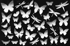 Butterflies & dragonflies stamp brushes for Photoshop, ProCr Product Image 3