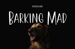 Web Font Barking Mad Product Image 1