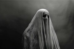 Mysterious figure shrouded in veil Product Image 1