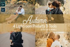 Autumn/Fall Lightroom Presets. Desktop &amp; Mobile Product Image 1