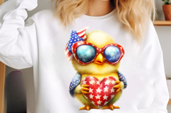 4th Of July Chick Sublimation Clipart Product Image 3