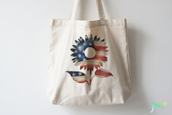 4th of July Clipart Product Image 4