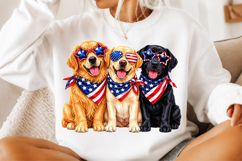 4th of July Dog Sublimation PNG Product Image 2
